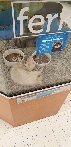 Pet Supply Store «Petco Animal Supplies», reviews and photos, 2765 Papermill Rd G-1, Reading, PA 19610, USA