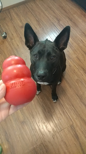 Pet Supply Store «Skyway Feed & Pet Supply Inc», reviews and photos, 677 Birch St, Paradise, CA 95969, USA