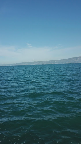 Αριθμός τηλεφώνου ΜΟΛΥΒΙ