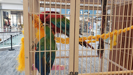 Pet Store «Petland Topeka», reviews and photos, 1801 SW Wanamaker Rd, Topeka, KS 66614, USA