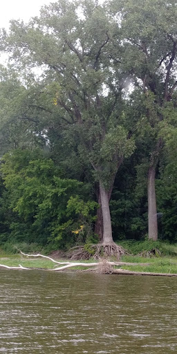 Boat Tour Agency «Padelford Packet Boat Co», reviews and photos, 205 Dr Justus Ohage Blvd, St Paul, MN 55107, USA