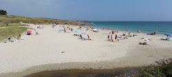 Plage de Trescao'in fotoğrafı vahşi alan