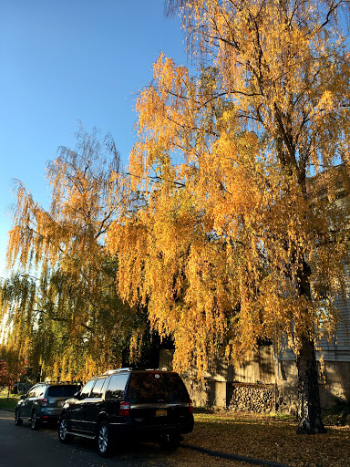 Park «Judkins Park and Playfield», reviews and photos, 2150 S Norman St, Seattle, WA 98144, USA