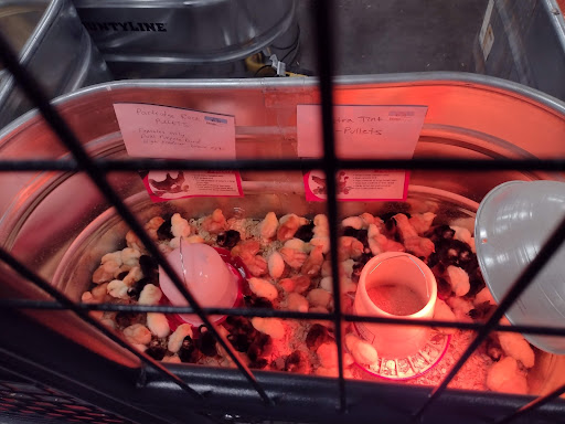 Home Improvement Store «Tractor Supply Co.», reviews and photos, 8447 FL-54, New Port Richey, FL 34655, USA