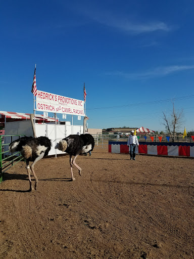Park «Tumbleweed Park», reviews and photos, 745 E Germann Rd, Chandler, AZ 85286, USA