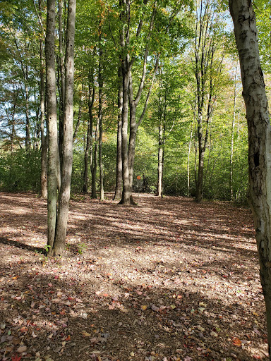 Park «Ira Township Park», reviews and photos, 7085 Meldrum Rd, Ira Township, MI 48023, USA