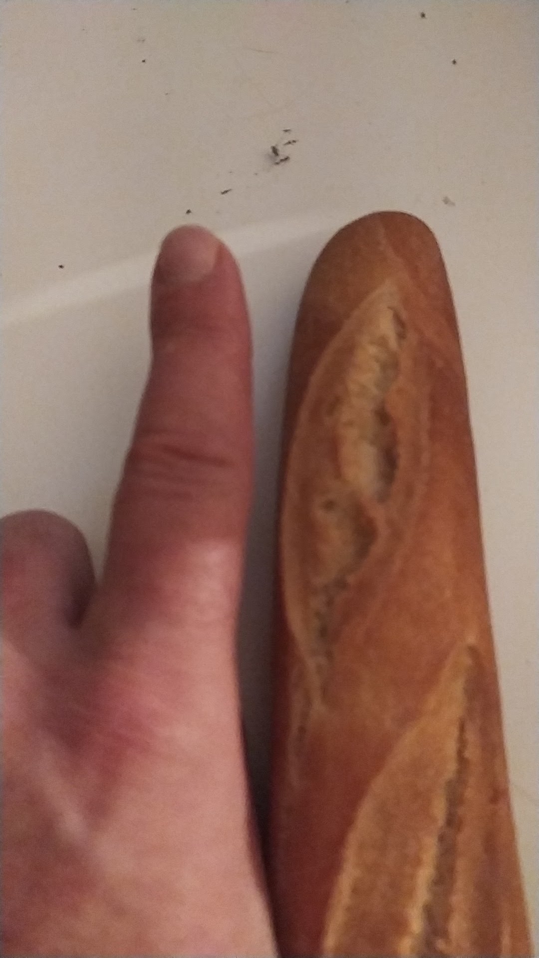 Photo n° 1 de l'avis de Marion. fait le 02/10/2021 à 23:25