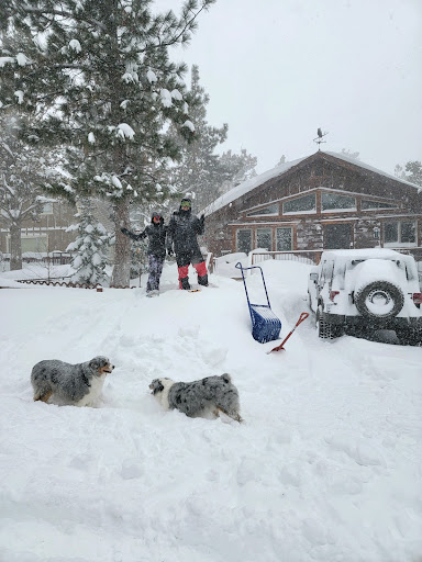 Holly Gardner, REALTOR Keller Williams Big Bear Lake Arrowhead-The Mountain Resort Group image