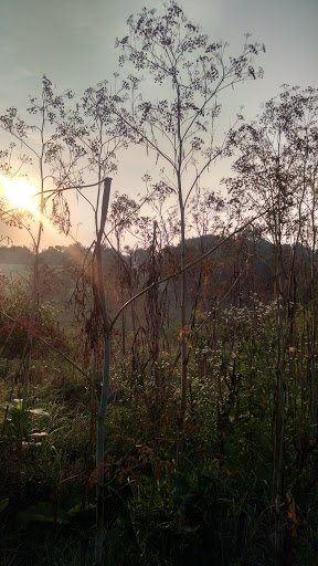 Golf Course «Mt. Lebanon Golf Course», reviews and photos, 1000 Pine Ave, Pittsburgh, PA 15234, USA