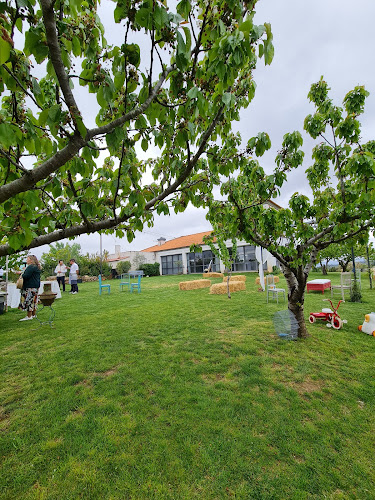 Quinta Do Poulao - Mirandela