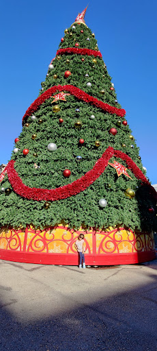 Amusement Park Ride «Men in Black Alien Attack», reviews and photos, 6000 Universal Blvd, Orlando, FL 32819, USA