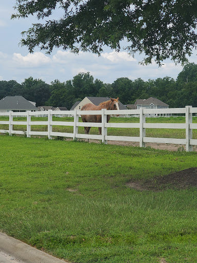 Bridlewood Equestrian Center/Suffolk, Virginia