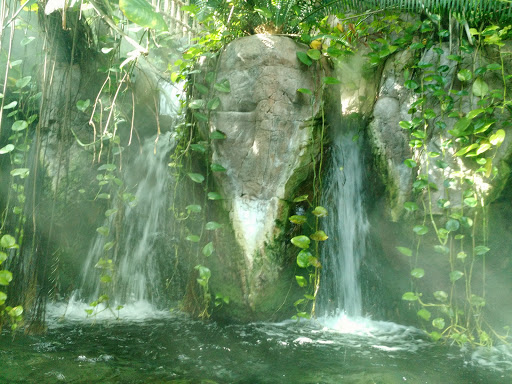 Aquarium «Audubon Aquarium of the Americas», reviews and photos, 1 Canal St, New Orleans, LA 70130, USA