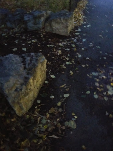 Park «Welles Park», reviews and photos, 2333 W Sunnyside Ave, Chicago, IL 60625, USA