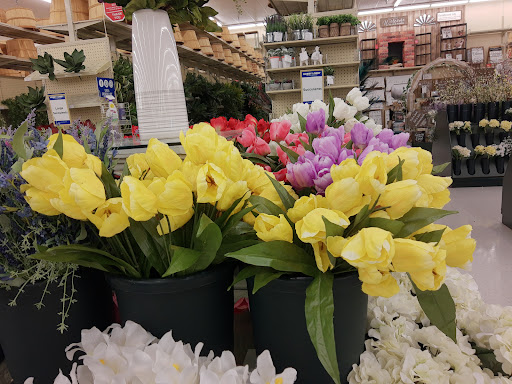 Craft Store «Hobby Lobby», reviews and photos, 3300 W Expy 83 #700, McAllen, TX 78501, USA