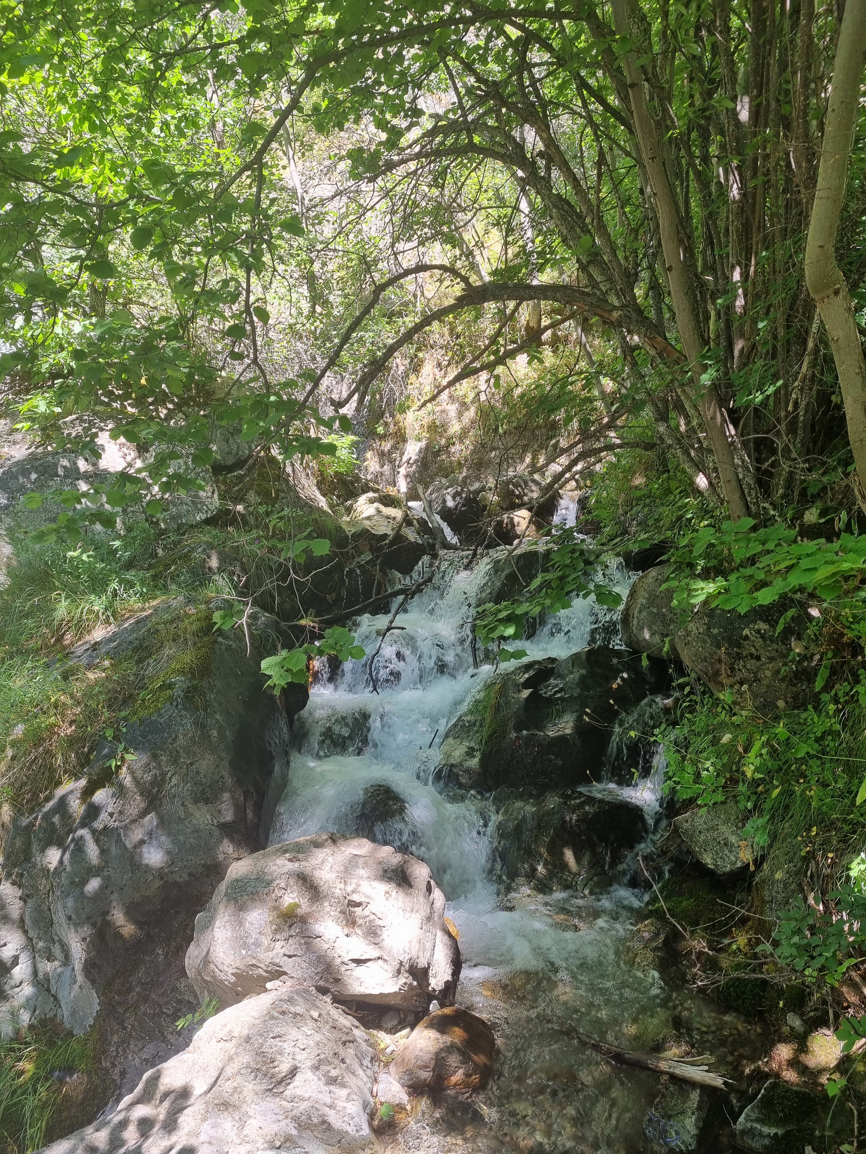 Photo n° 5 de l'avis de kitzy.l fait le 19/08/2023 à 14:15