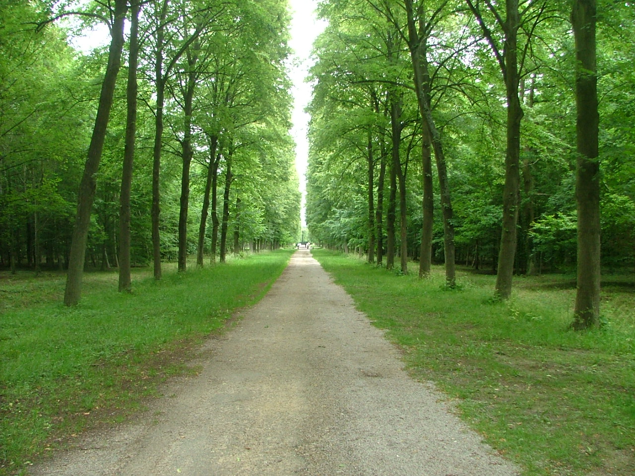 Photo n° 6 de l'avis de Igor.l fait le 15/06/2017 à 19:06