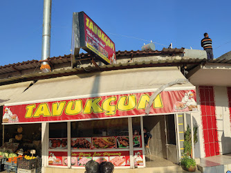 Tavukçum