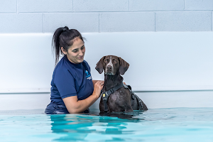 Aquapaws Canine Hydrotherapy & Fun Swim image