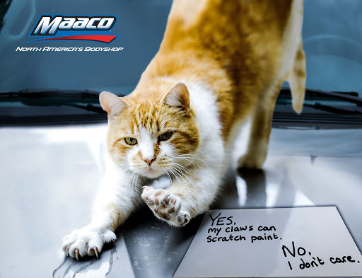 Auto Body Shop «Maaco Collision Repair & Auto Painting», reviews and photos, 350 N Pleasantburg Dr, Greenville, SC 29607, USA