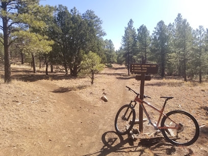 Campbell Mesa Loop Trails