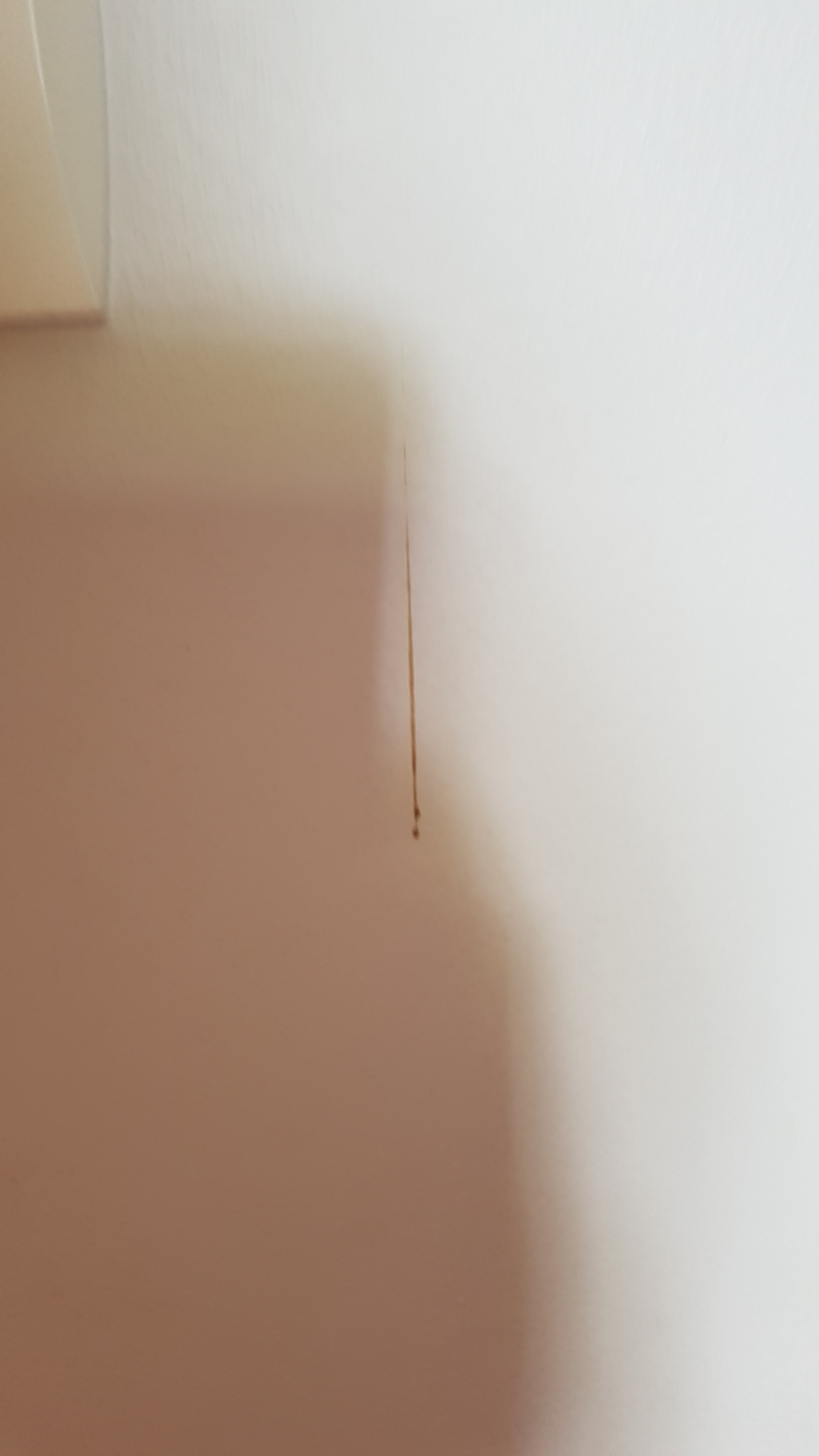 Photo n° 3 de l'avis de laetitia.b fait le 27/09/2020 à 16:12