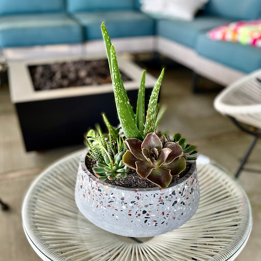 Florist «Green Fresh Florals», reviews and photos, 3785 Fourth Ave, San Diego, CA 92103, USA