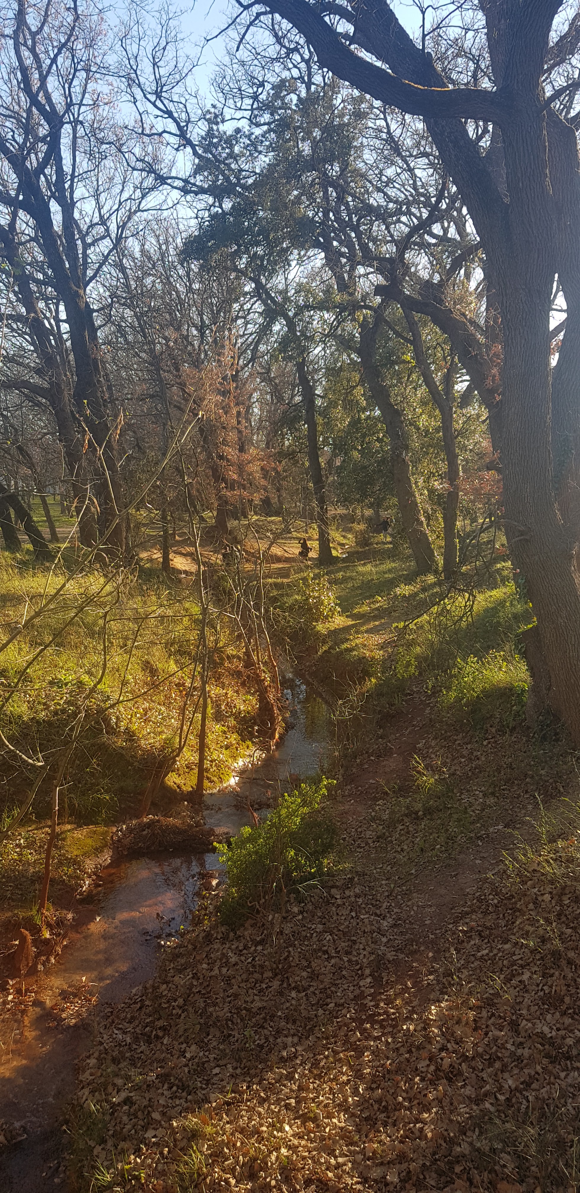 Photo n° 3 de l'avis de Jacky.l fait le 23/02/2020 à 16:36