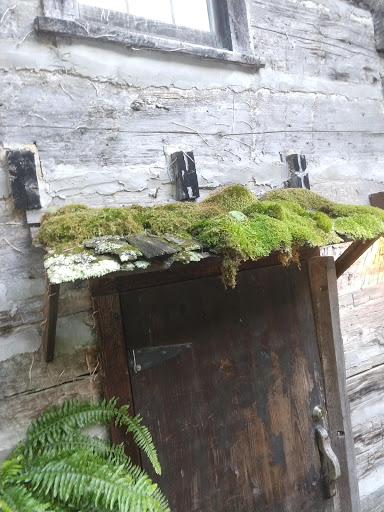 Restaurant «The Pineapple Tea Room & Coffee Shoppe», reviews and photos, 604 Colwyn St, Cumberland Gap, TN 37724, USA