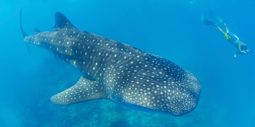 Travel Agency «Lugos Travel Incorporated», reviews and photos, 3825 Florida Ave S #2, Lakeland, FL 33813, USA