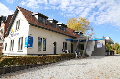 Photos of V&eacute;t&eacute;rinaire Malcourant