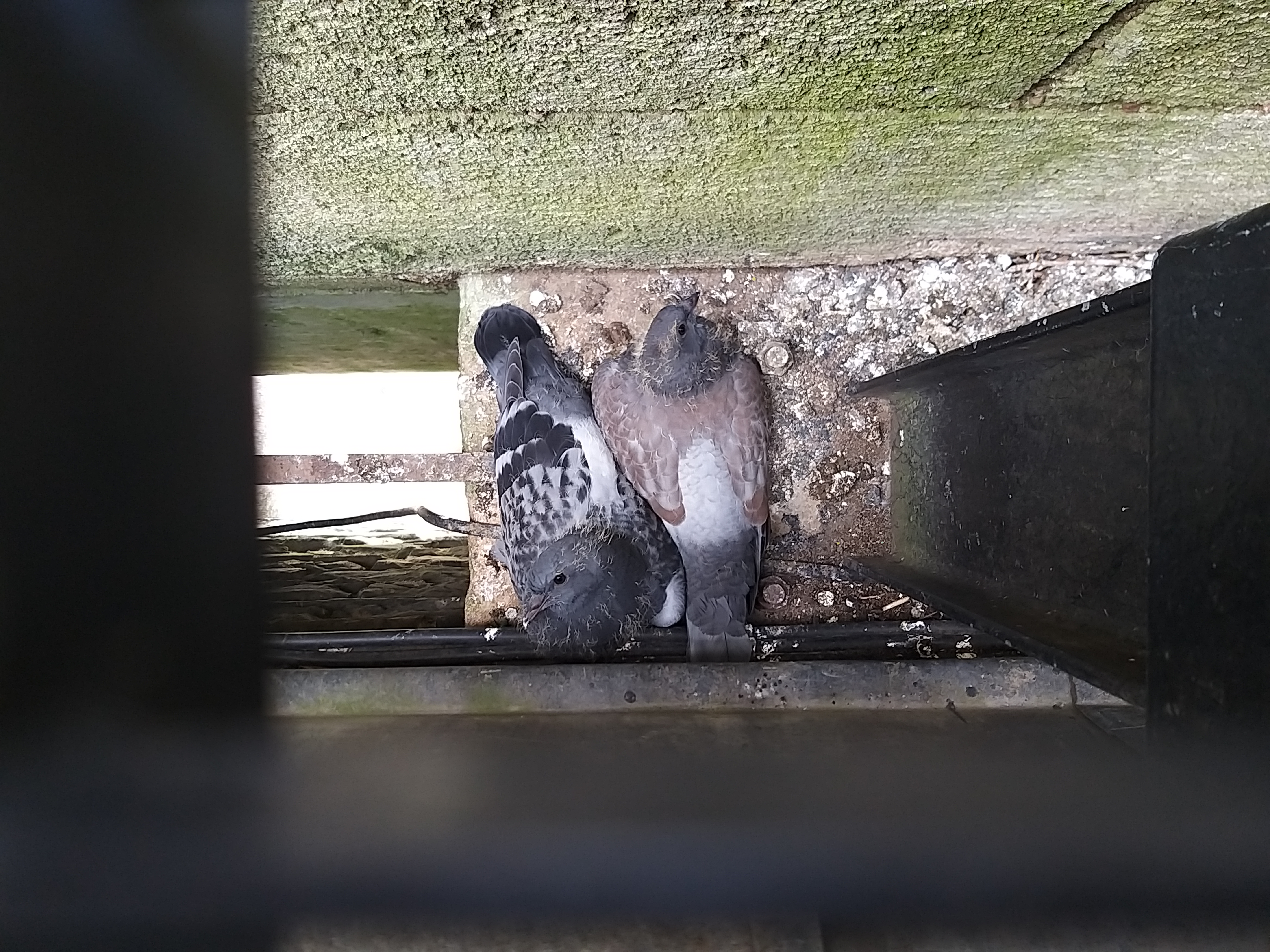 Photo n° 34 de l'avis de DIDINE.a fait le 15/08/2019 à 18:02