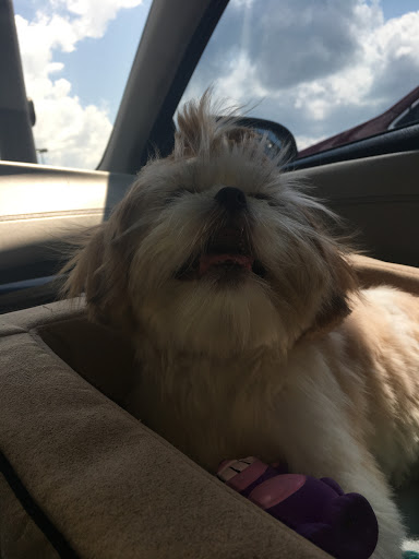 Pet Supply Store «Petco Animal Supplies», reviews and photos, 7303 Pinnacle Pkwy, Covington, LA 70433, USA