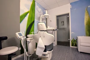 Dr. Silke Bonowski - Dentist Hamburg image