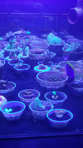 Pet Store «Fin-N-Feather», reviews and photos, 2931 F St, Eureka, CA 95501, USA