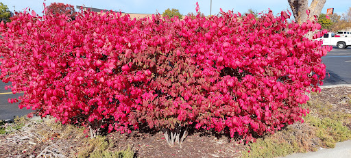 Home Improvement Store «The Home Depot», reviews and photos, 650 SW 19th St, Moore, OK 73160, USA