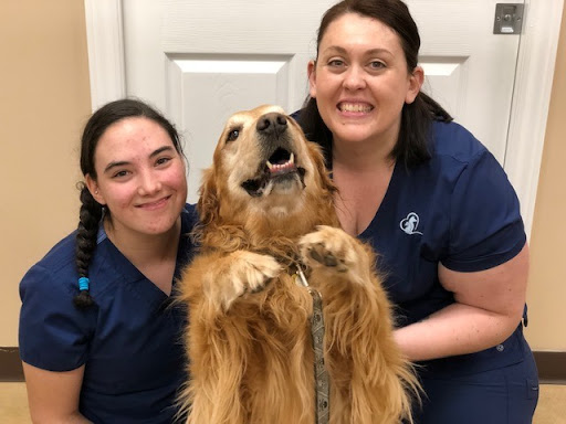 High County Veterinary Hospital image
