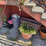 Photo n°2 de l'avis de Klaus.r fait le 14/09/2022 à 13:39 sur le  Hotel Cortina à Garda