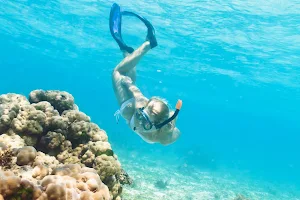 ScubaCaribe - Diving & Water Sports image