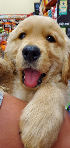 Pet Supply Store «Petco Animal Supplies», reviews and photos, 6842 S Redwood Rd, West Jordan, UT 84084, USA