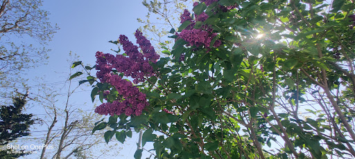 Winery «Truro Vineyards + South Hollow Spirits», reviews and photos, 11 Shore Rd, North Truro, MA 02652, USA