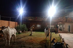 Hotel Pantanal image