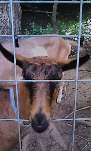 Park «Edgewood Park», reviews and photos, Edgewood Ave, New Haven, CT 06511, USA