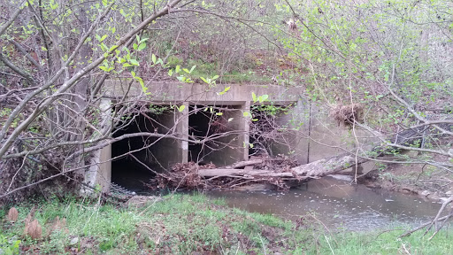 Extended Stay Hotel «Homewood Suites by Hilton Raleigh/Cary», reviews and photos, 100 Macalyson Ct, Cary, NC 27511, USA