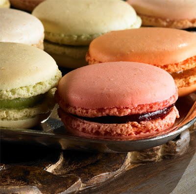 Pâtisserie Chocolaterie ALLEX à Chalon-sur-Saône
