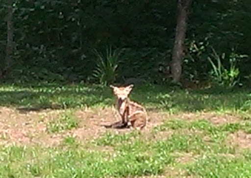 Animal Control Office image