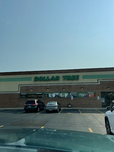 Dollar Store «Dollar Tree», reviews and photos, 955 N McLean Blvd, Elgin, IL 60123, USA