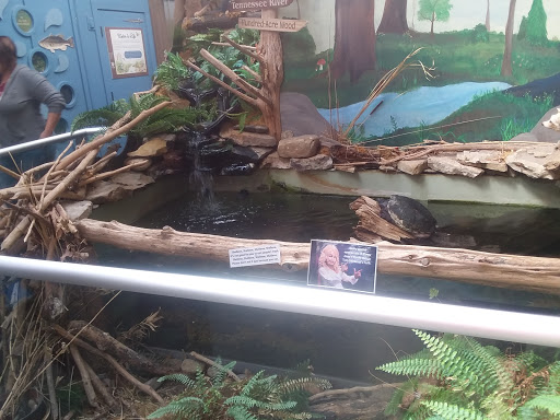 Discount Store «Dollar General», reviews and photos, 1401 Euclid Ave, Bristol, VA 24201, USA