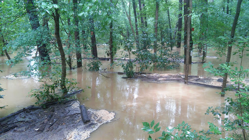 Nature Preserve «Blue Heron Nature Preserve», reviews and photos, 4055 Roswell Rd NE, Atlanta, GA 30342, USA