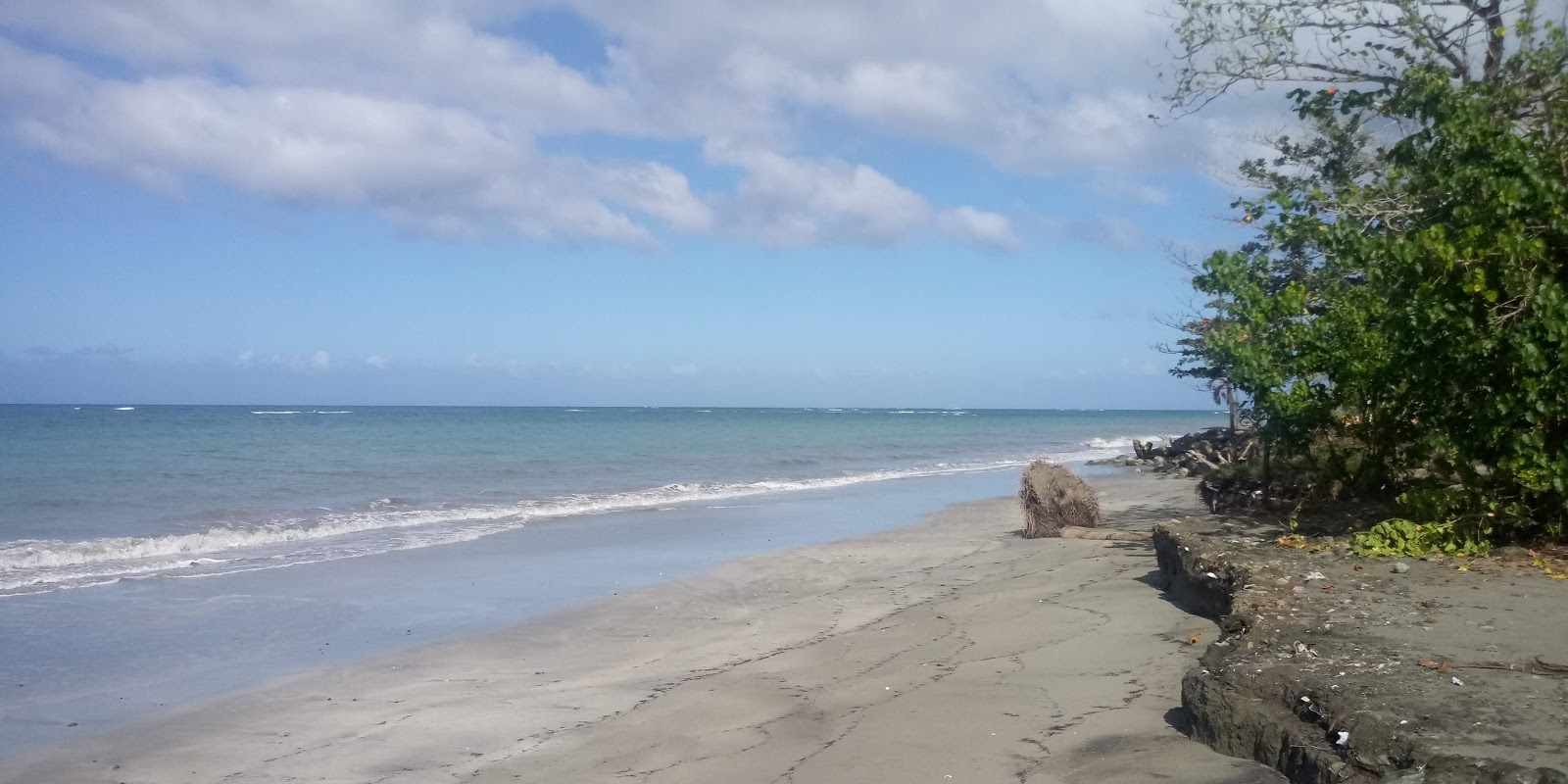 Photo de Playa la Ermita zone sauvage